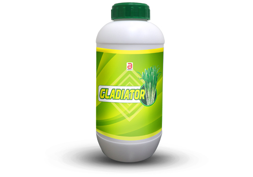 Gladiator_sugarcane_special 500ml.jpg